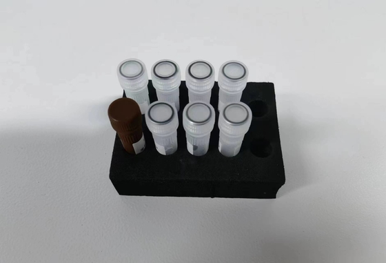 Hepatit B Virüsü HBV kantitatif PCR KIT Duyarlılık Örnek Tipi Test Kiti 96 Testle