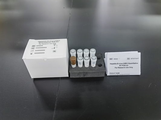 Hepatit B Virüsü HBV kantitatif PCR KIT Duyarlılık Örnek Tipi Test Kiti 96 Testle