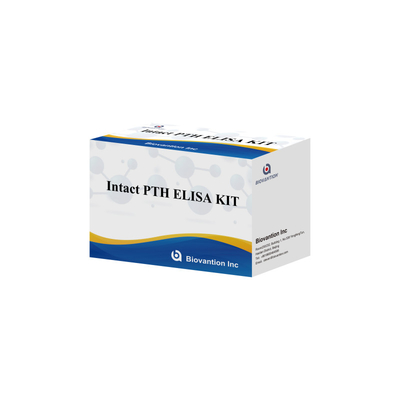 Sağlam PTH için İnsan Serum Plazma için İnsan Deteksi Rejansi için Deteksyon Kiti
