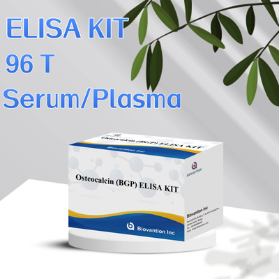 İnsan için Osteokalsin BGP için Deteksyon Kitsesi İnsan Serum Plasması için Deteksyon Rejansi