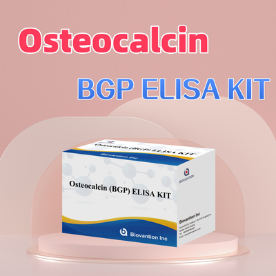 İnsan için Osteokalsin BGP için Deteksyon Kitsesi İnsan Serum Plasması için Deteksyon Rejansi