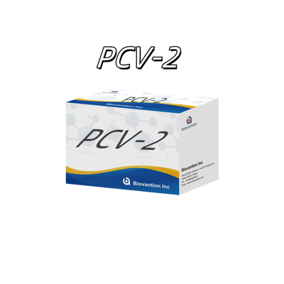 WB/S/P PCV-2 ELISA testi hayvan antikorları veteriner reagansları için