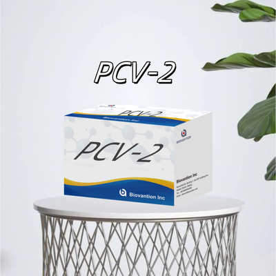 WB/S/P PCV-2 ELISA testi hayvan antikorları veteriner reagansları için