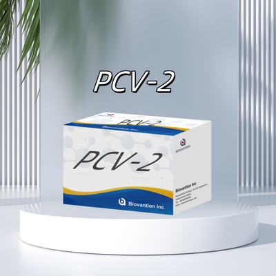 WB/S/P PCV-2 ELISA testi hayvan antikorları veteriner reagansları için