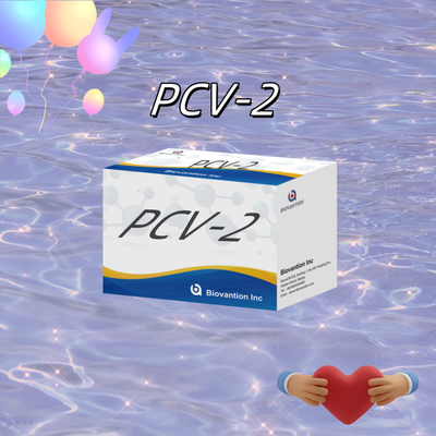 WB/S/P PCV-2 ELISA testi hayvan antikorları veteriner reagansları için