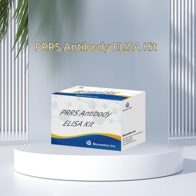 Hayvansal PRRSV için ELISA testi Domuz PRRS antikorları antikorlar veteriner reaganslar ivd