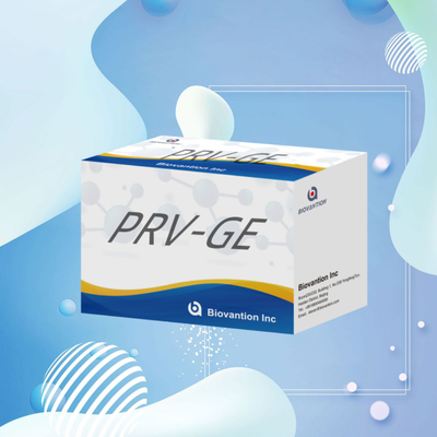 Hayvanlar için ELISA testi PRV-GB Domuz sahtekarlığı GB antikorlar veteriner reaganslar ivd