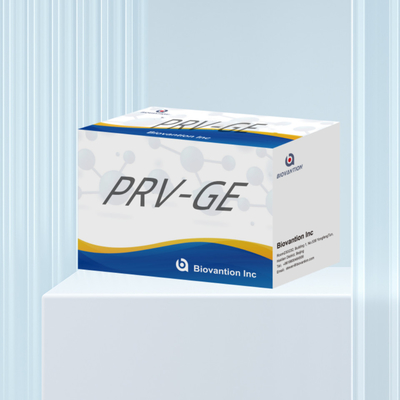 Hayvanlar için ELISA testi PRV-GB Domuz sahtekarlığı GB antikorlar veteriner reaganslar ivd
