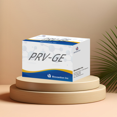 Hayvanlar için ELISA testi PRV-GB Domuz sahtekarlığı GB antikorlar veteriner reaganslar ivd