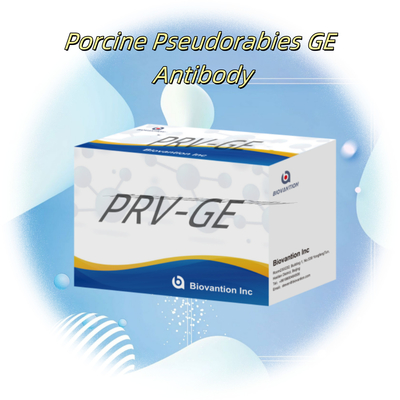 Hayvanlar için ELISA testi PRV-GB Domuz sahtekarlığı GB antikorlar veteriner reaganslar ivd