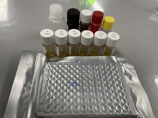 Sıçan Bcl-2 Serum Metodu ELISA Örnek Türü Serum ELISA RUO Test Seti 98% özelliği ile