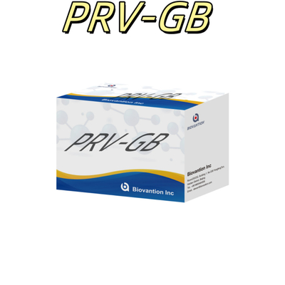 Özellik Serolojik tespit için ELISA Immunoassay Kit PRV Reagent
