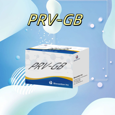 Özellik Serolojik tespit için ELISA Immunoassay Kit PRV Reagent