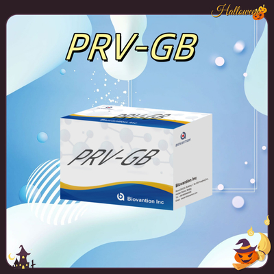 Özellik Serolojik tespit için ELISA Immunoassay Kit PRV Reagent