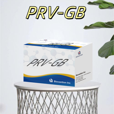 Özellik Serolojik tespit için ELISA Immunoassay Kit PRV Reagent