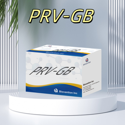 Özellik Serolojik tespit için ELISA Immunoassay Kit PRV Reagent