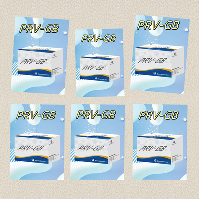 Özellik Serolojik tespit için ELISA Immunoassay Kit PRV Reagent