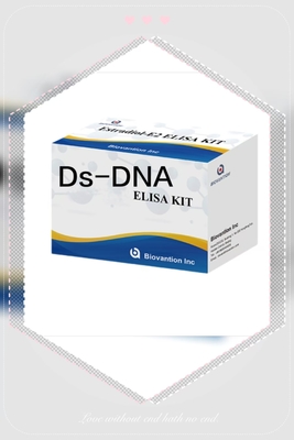 Anti Ds-DNA IgG ELISA Test Kütesi Kaliteli Anti Çift Yapraklı DNA Antibolu