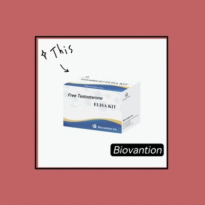 Özgür Testosteron Özgür Tes ELISA Test Kütesi Rekabetçi-ELISA İlke