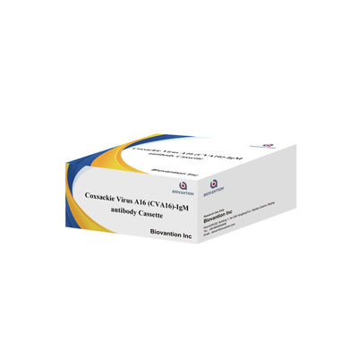 Coxsackie Virüsü A16 CVA16-IgM Antikor Kaseti WB/S/P Kolloidal Gold Hızlı Test