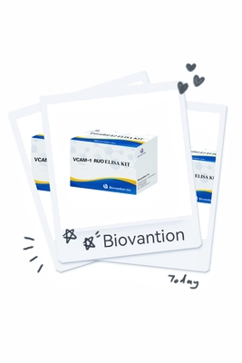 VCAM-1 RUO Elisa Kit İnsan Vaskuler Endotel Hücre Yapışması Molekülü 1
