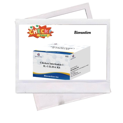 IL 1 ELISA Test Kütesi İnsan Serumu ve Plazma İmmünosunu İnterleukin-1