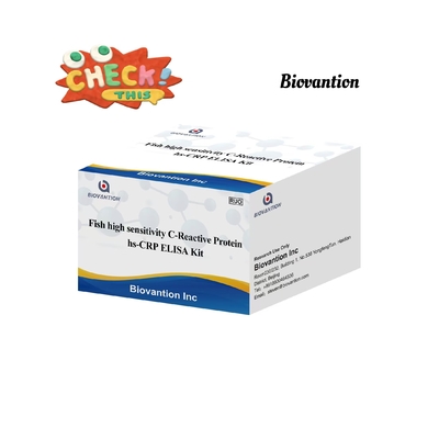 Hs-CRP IVD Elisa Test Balık Yüksek Duyarlılık C-Reactive Protein Biovantion