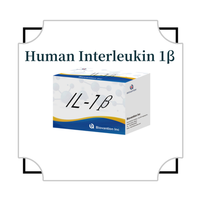 IL-1β Hassas ELISA Kits'i 95% Hassaslık ve 6 Aylık Araştırma Kullanımı için