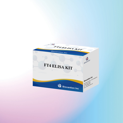 TOXO IgM IgG igg igm elisa insan kullanımı teşhis reagansı test kit 96 kit