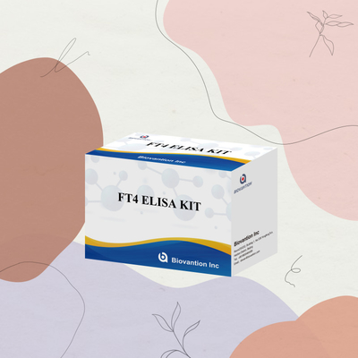 TOXO IgM IgG igg igm elisa insan kullanımı teşhis reagansı test kit 96 kit
