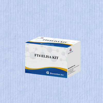 TOXO IgM IgG igg igm elisa insan kullanımı teşhis reagansı test kit 96 kit