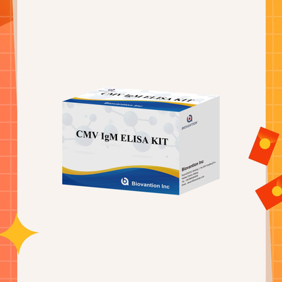 Makrofag IgM kalitatif ELISA testi IVD deneysel kit Yüksek duyarlılık