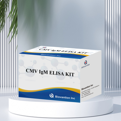 Makrofag IgM kalitatif ELISA testi IVD deneysel kit Yüksek duyarlılık