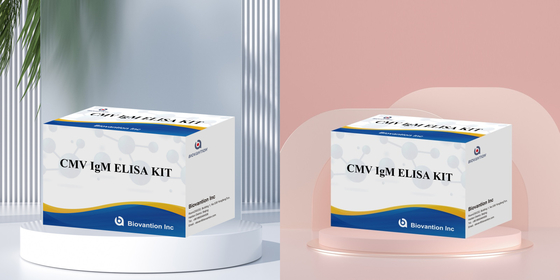 Makrofag IgM kalitatif ELISA testi IVD deneysel kit Yüksek duyarlılık
