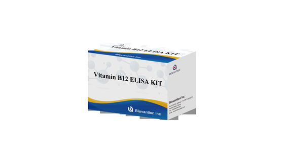 B1 Vitamini Elisa Test Kütesi Enzim Bağlı Ürünlerin Hayvan Testleri
