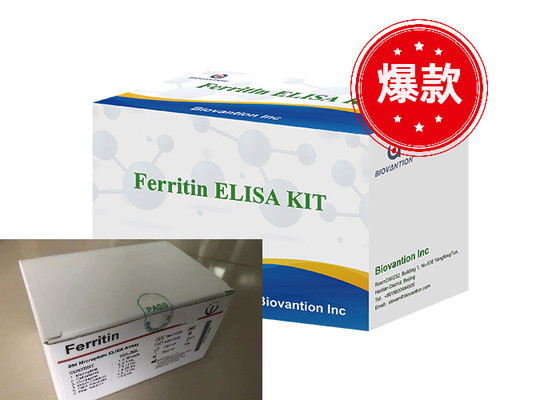 Ferritin Elisa Test Kütesi Enzim Bağlı Ürünler Ulaşım Zamanı Kısa Yüksek Kalite