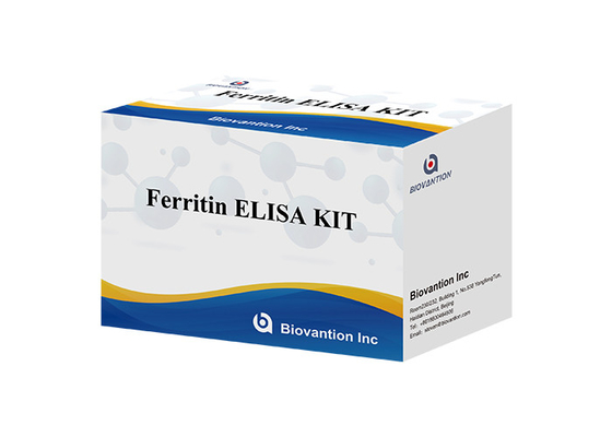 Ferritin Elisa Test Kütesi Enzim Bağlı Ürünler Ulaşım Zamanı Kısa Yüksek Kalite