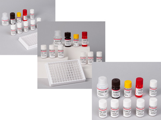 Laboratuvar veya hastane yüksek hassasiyetli insan ferritini FE ELISA test kiti
