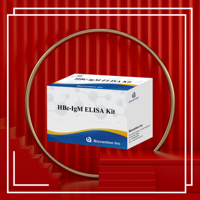 Yüksek hassasiyetli HBc IgM Antjen Reagent Diagnostik Testi Enzim Bağlı Immunosorbant Test Kits ile