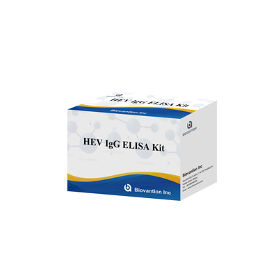 Hastalık Tanısı Reagent HEV-IgG Tanı ve Analiz Hastane Kullanımı