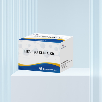 Hastalık Tanısı Reagent HEV-IgG Tanı ve Analiz Hastane Kullanımı