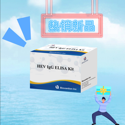 Hastalık Tanısı Reagent HEV-IgG Tanı ve Analiz Hastane Kullanımı