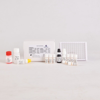 Laboratuvar veya hastane için yüksek hassasiyetli H.Pylori IgG Elisa Test Kiti