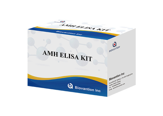 Anti-Mullerian hormonu AMH Elisa Test Kiti İnsan için serum plazma ile birlikte kullanılabilir.