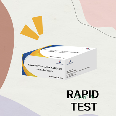 CVA16 IVD teşhis reagansı Coxsackie Virüsü A16 CVA16-IgM Antibody Cassette WB/S/P Kolloidal Gold Rapid Test