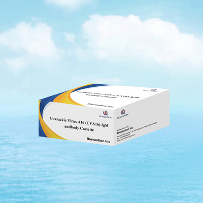 CVA16 IVD teşhis reagansı Coxsackie Virüsü A16 CVA16-IgM Antibody Cassette WB/S/P Kolloidal Gold Rapid Test