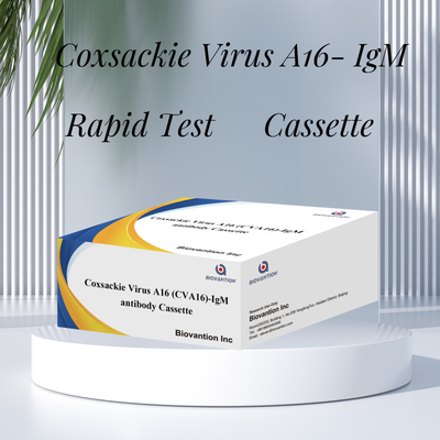 CVA16 IVD teşhis reagansı Coxsackie Virüsü A16 CVA16-IgM Antibody Cassette WB/S/P Kolloidal Gold Rapid Test