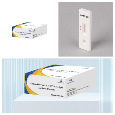 CVA16 IVD teşhis reagansı Coxsackie Virüsü A16 CVA16-IgM Antibody Cassette WB/S/P Kolloidal Gold Rapid Test