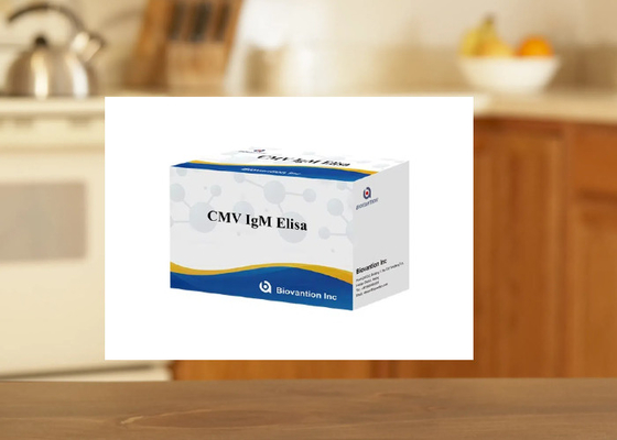cMV IgM Elisa test kiti Enzim Bağlı Immunosorbant Analiz Kiti ELISA Assay Kit