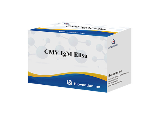 cMV IgM Elisa test kiti Enzim Bağlı Immunosorbant Analiz Kiti ELISA Assay Kit